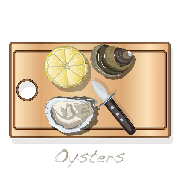 Frissen Megnyitott Oyster Vectorv Képek Lemez Étel Elszigetelt Fehér Háttér — Stock Vector