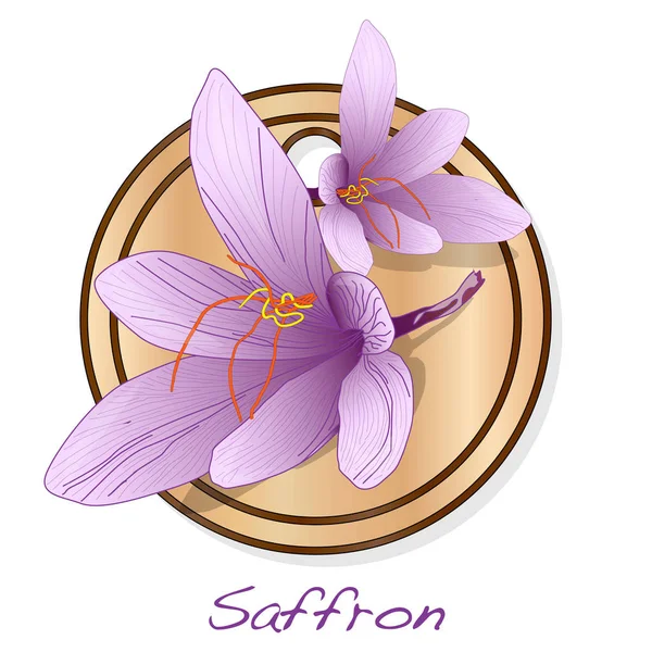 Fleur Safran Sur Illustration Plat Vecteur Isolé — Image vectorielle