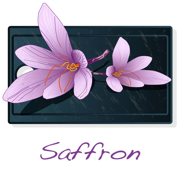 Fleur Safran Sur Illustration Plat Vecteur Isolé — Image vectorielle