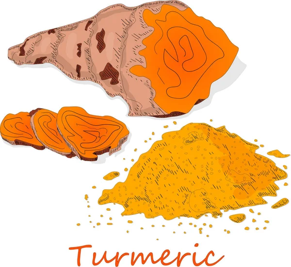 Turmeric Curcuma Longa Linn Powder Root White Background Vector Illustration — Stock Vector