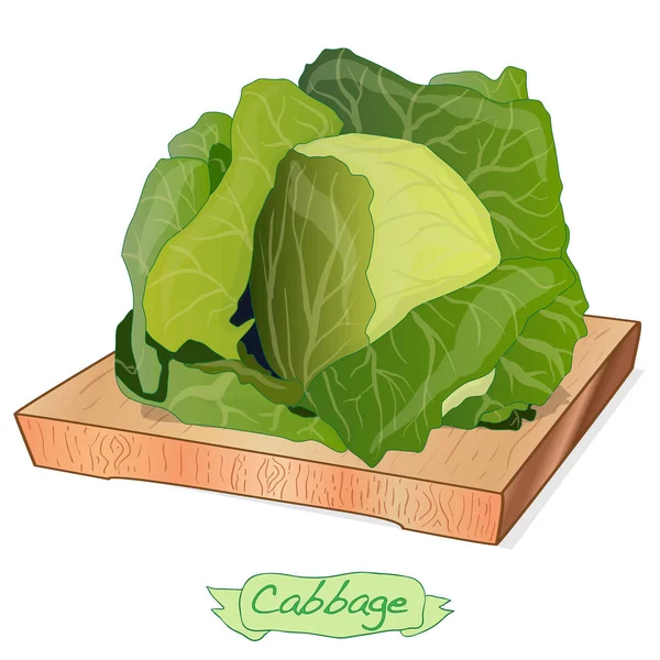 Green Leafy Vegetableストックベクター ロイヤリティフリーgreen Leafy Vegetableイラスト ページ 8 Depositphotos Green Leafy Vegetableストックベクター ロイヤリティフリーgreen Leafy Vegetableイラスト ページ 8 Depositphotos
