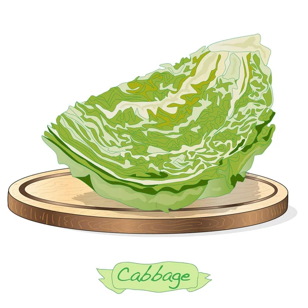 Green Leafy Vegetableストックベクター ロイヤリティフリーgreen Leafy Vegetableイラスト ページ 8 Depositphotos Green Leafy Vegetableストックベクター ロイヤリティフリーgreen Leafy Vegetableイラスト ページ 8 Depositphotos