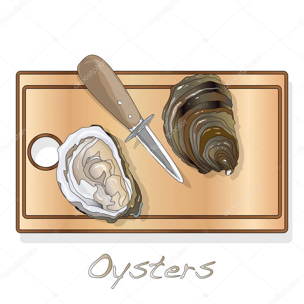 Fresh opened oyster vectorv images set on plate / dish isolated on white background.
