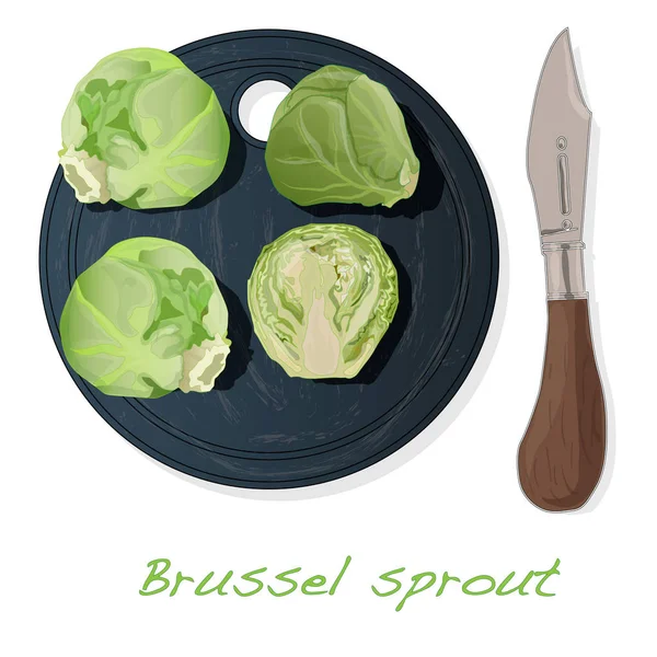 Una pila de coles de Bruselas en la ilustración del vector del plato. Whit. — Vector de stock