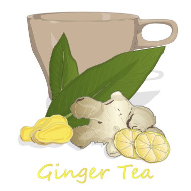 Zencefil çay vektör illüstrasyon izole set beyaz arka plan. 