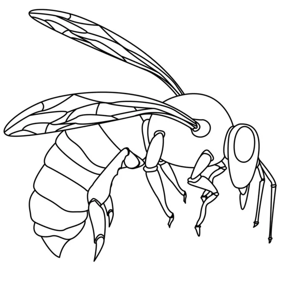 Дизайн вектора пчелиного рисунка. Для креативной индустрии, Multimed — стоковый вектор