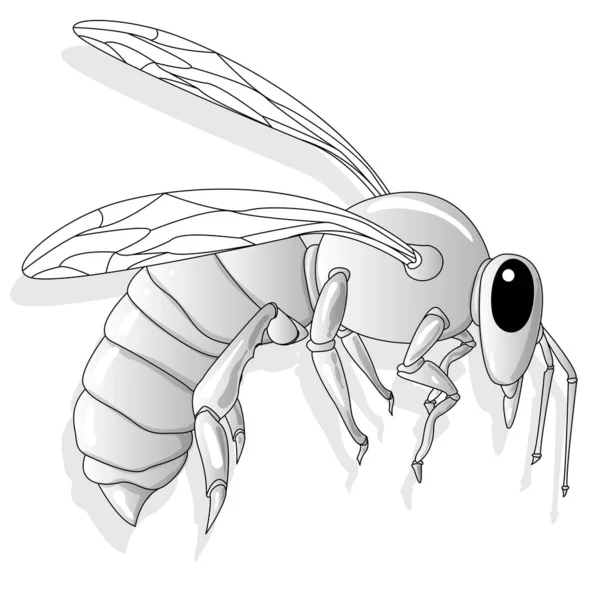 Bee illustration vector Design.  For Creative Industry, Multimed — Stock Vector