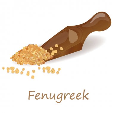 Methi, beyaz arka plan üzerinde çemen tohumu vektör illüstrasyon. 