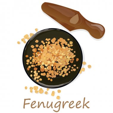 Methi, beyaz arka plan üzerinde çemen tohumu vektör illüstrasyon. 