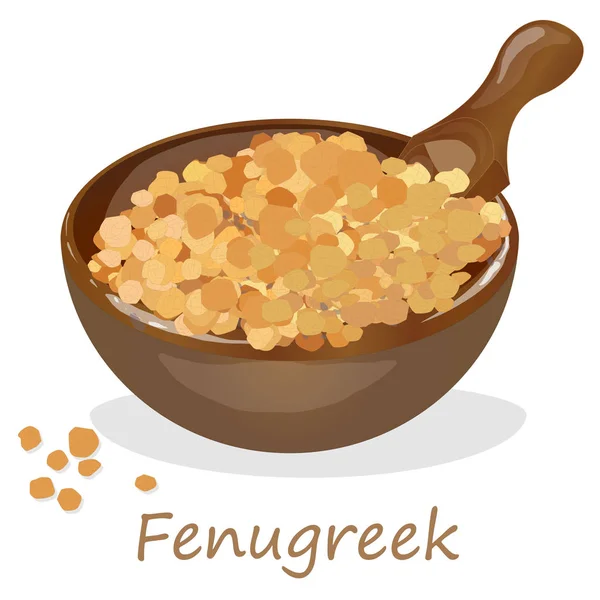 Methi, fenugreek seeds vector illustration on white background. — Stock Vector