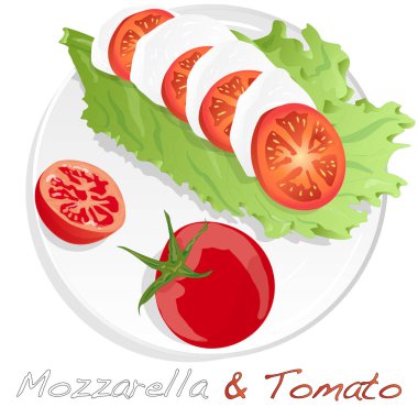 Mozzarella vektör illüstrasyon, kiraz domates - malzemeler