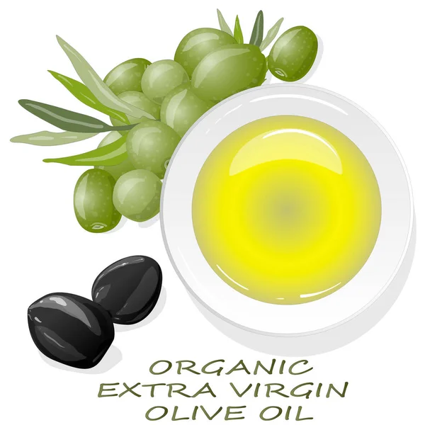 Aceite de oliva virgen de primera calidad y algunas aceitunas aisladas en un bac blanco — Vector de stock