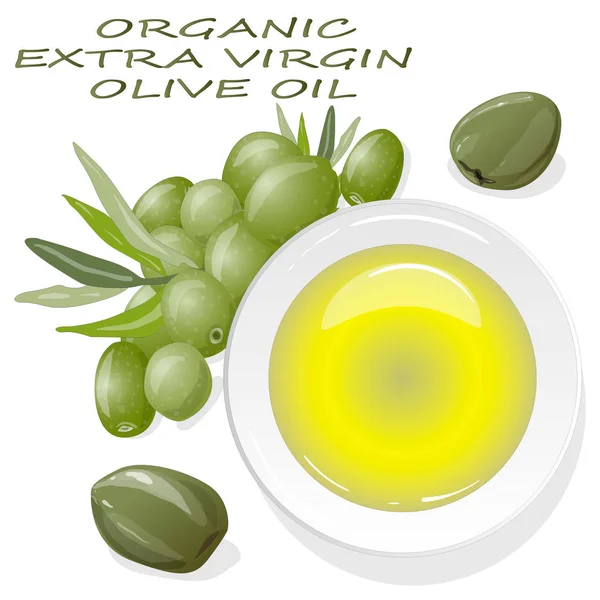 Hochwertiges natives Olivenöl und einige Oliven isoliert auf einem weißen Bac — Stockvektor