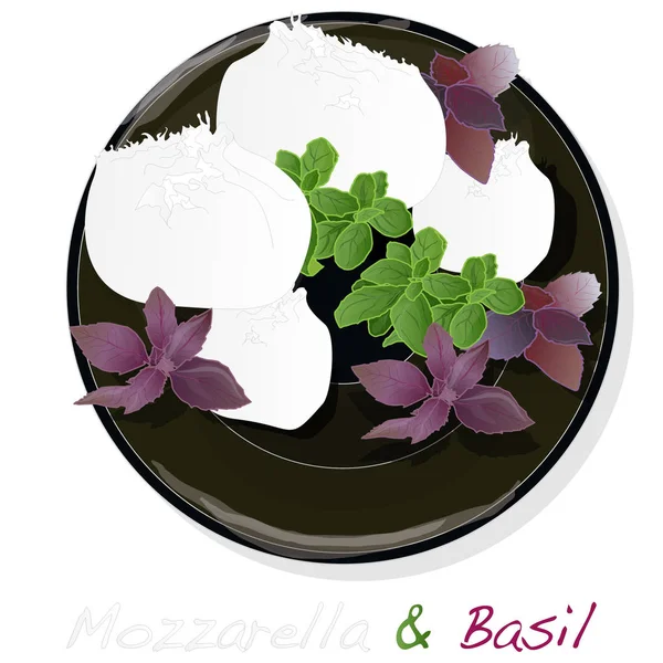 Queso mozzarella italiano tradicional y albahaca en el plato. Blanco — Vector de stock