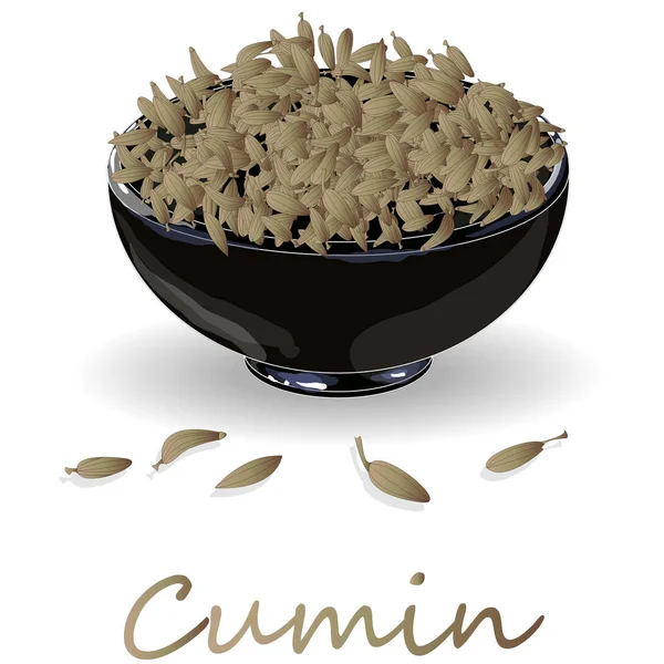 Comino (Zira) condimento de semillas para comidas y sopas en una espalda blanca — Vector de stock