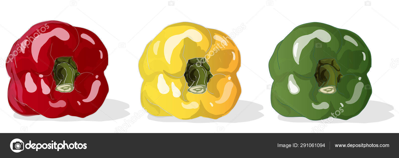 美しい花の画像 トップ100ピーマン の イラスト