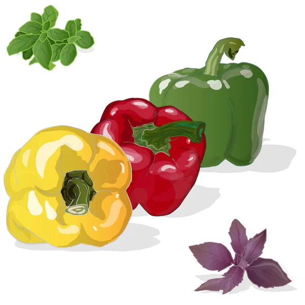 Tasty ripe bell peppers on white background. Vector illustration — Stock Vector
