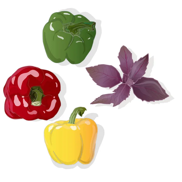 Tasty ripe bell peppers on white background. Vector illustration — Stock Vector