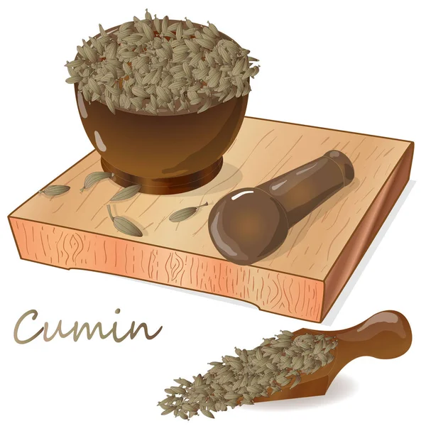 Cumin (Zira) biji bumbu untuk makanan dan sup di punggung putih - Stok Vektor