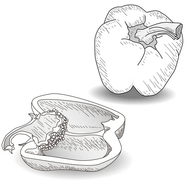 Sabrosos pimientos maduros sobre fondo blanco. Ilustración vectorial — Archivo Imágenes Vectoriales