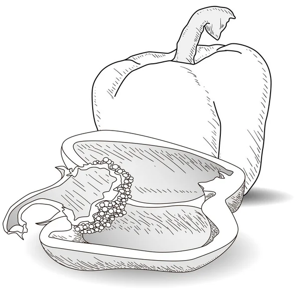 Smakelijke rijpe paprika op witte achtergrond. Vector illustratie — Stockvector