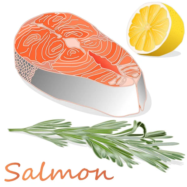 Raw salmon fillets with herbs on white background. Vector illust — Stock Vector