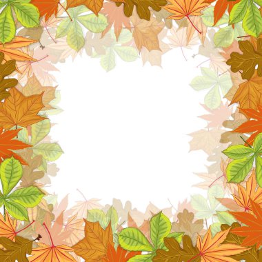 Sonbahar kompozisyonunun vektör çizimi. Renkli fotodan yapılmış çerçeve