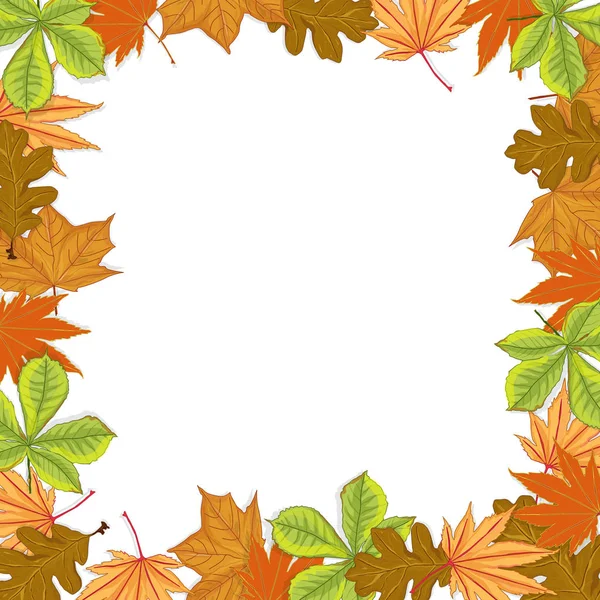 Vector illustratie van de herfstcompositie. Frame van colorfu — Stockvector