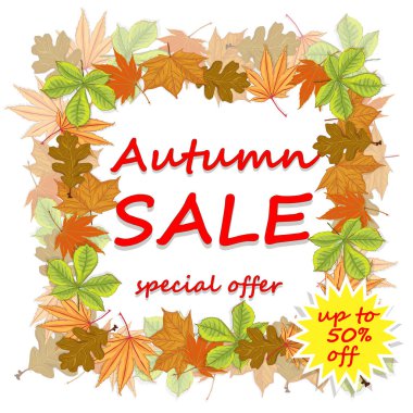 Sonbahar satışı için afiş. Sonbahar yapraklarının çiçek unsurları. Vektör