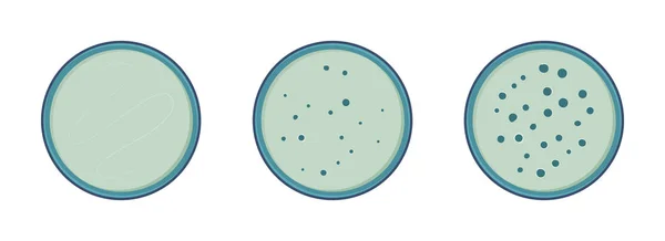 Vektor pertumbuhan bakteri - Stok Vektor