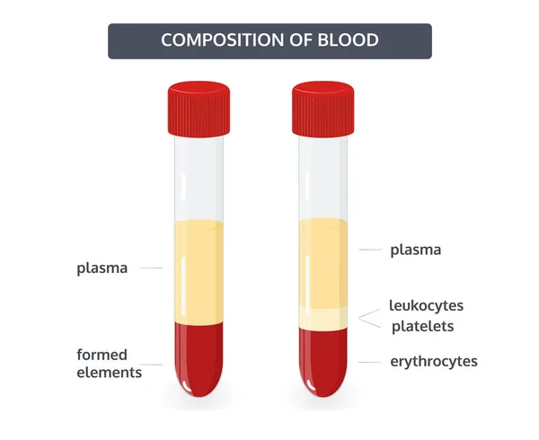 Composición del concepto de sangre — Vector de stock