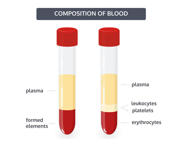 Composition of blood concept