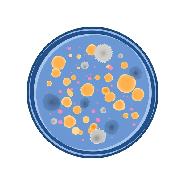 Vector de crecimiento bacteriano — Archivo Imágenes Vectoriales