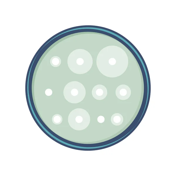 Bacterium growth vector — Stock Vector