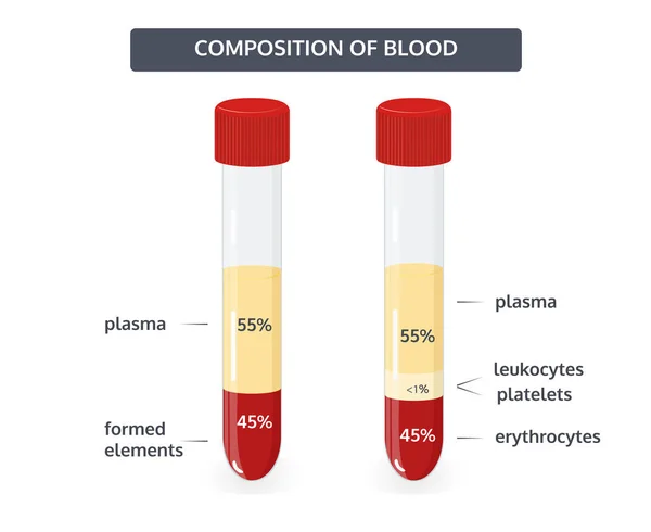 Composición de la imagen del vector sanguíneo . — Vector de stock