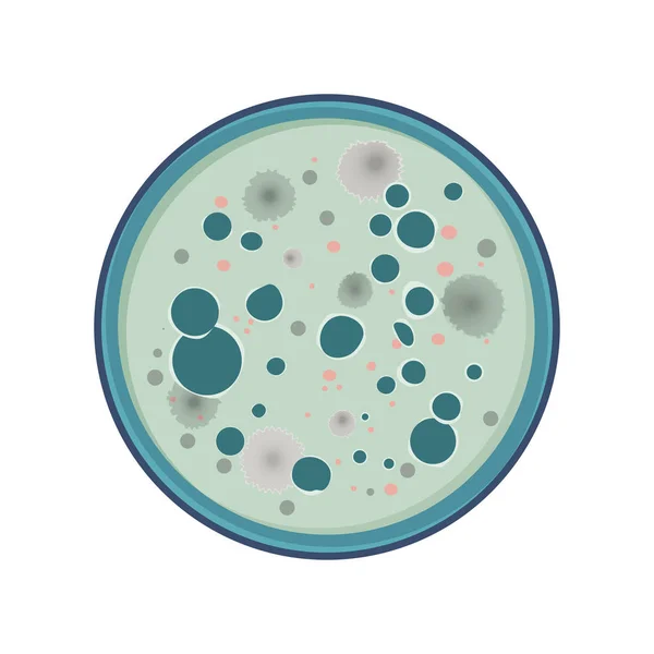 Bacterium growth vector — Stock Vector