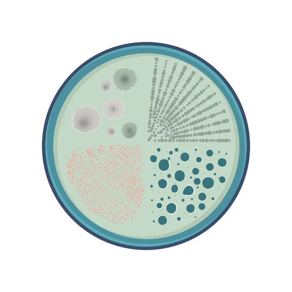 Διάνυσμα ανάπτυξης βακτηρίων — Διανυσματικό Αρχείο
