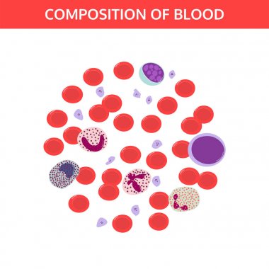 Mikroskopta kan damlası.