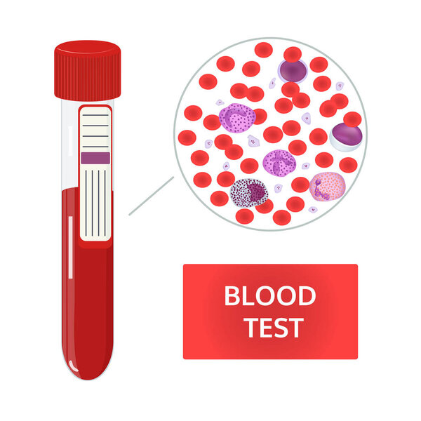 Composition of blood. Vector image.