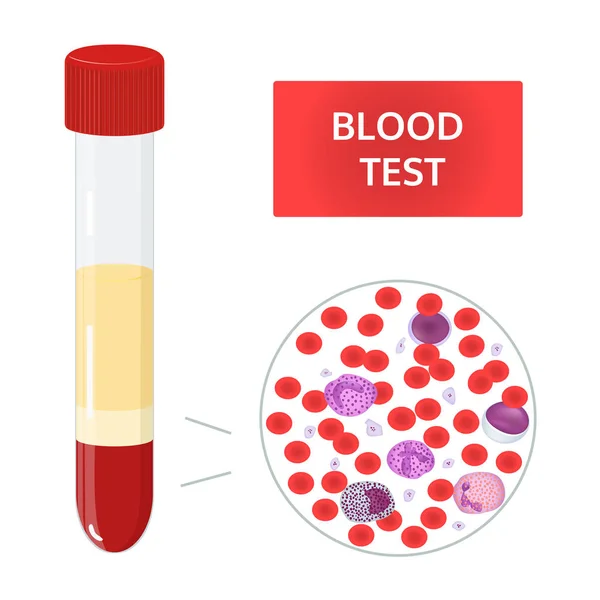 Composición de la sangre. Imagen vectorial . — Vector de stock