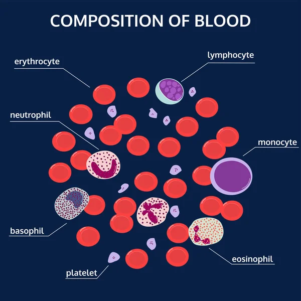 Infografías médicas de la composición de la sangre sobre un fondo azul . — Vector de stock