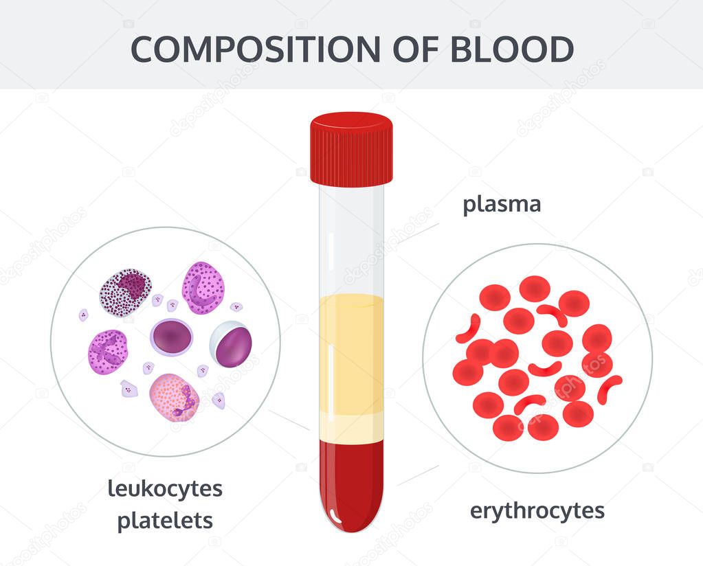 Composition of blood. Vector image.