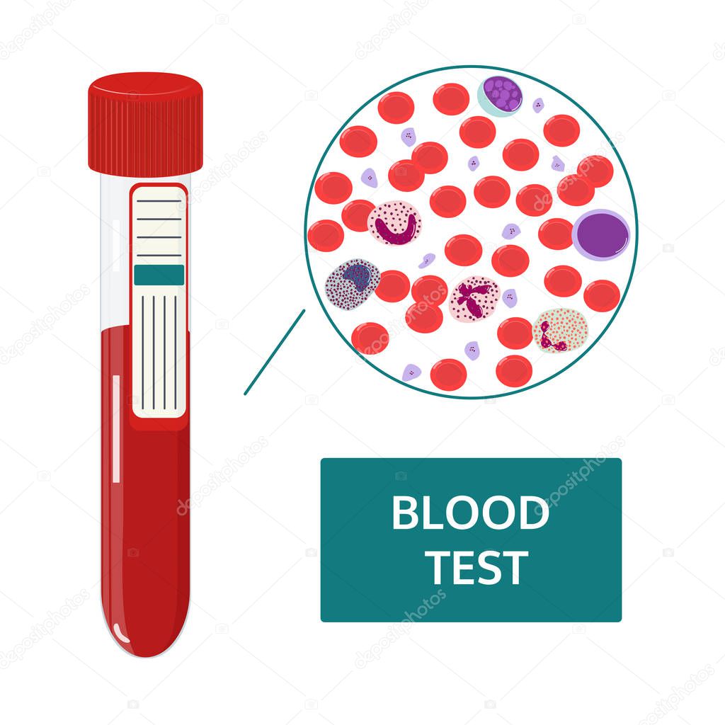 Composition of blood. Vector image.