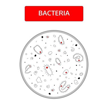 Mikroskop altında beyaz arka plan üzerinde kırmızı çekirdekli siyah beyaz bakteriler. Doodle el çizilmiş stil.