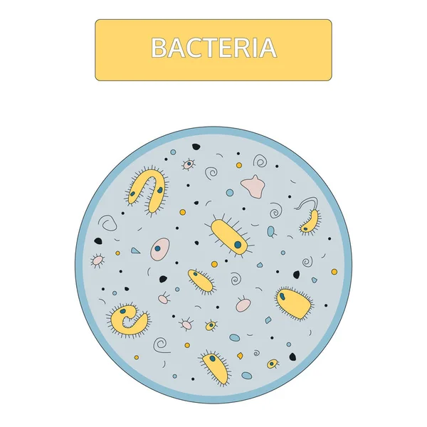 顕微鏡下の青い背景に青い核を持つカラフルな黄色の細菌。落書き手描きスタイル. — ストックベクタ