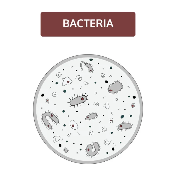 Bactérias pretas e cinzentas com um núcleo vermelho ao microscópio. Doodle, estilo desenhado à mão . — Vetor de Stock