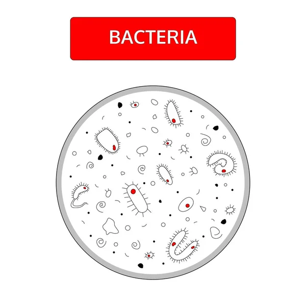 在显微镜下，在白色背景上具有红色核的黑白细菌。涂鸦手绘风格. — 图库矢量图片