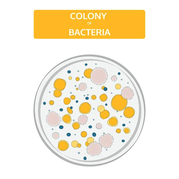 Colonias coloridas de bacterias en una placa de Petri de vidrio. Doodle, estilo dibujado a mano . — Vector de stock