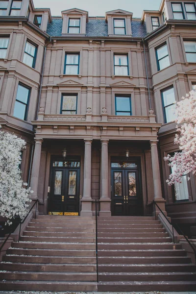 Blommande Boston Beacon Hill — Stockfoto