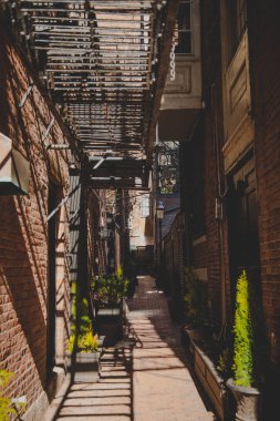 Boston'da bahar, güzellik çiçeklenme, sokaklar